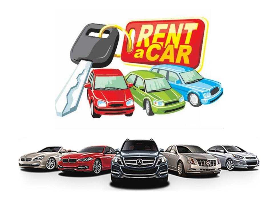 Cumayeri Rent A Car
